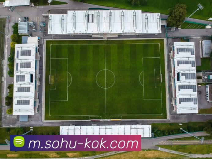 KOK体育平台生态图